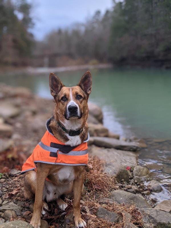 /Images/uploads/Mid County Chamber of Commerce/pet-mayor-2022/entries/24721thumb.jpg